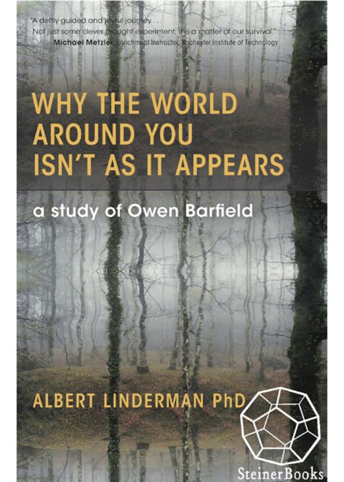 Cover of the book Why the World around You Isn't as It Appears by Albert Linderman, SteinerBooks