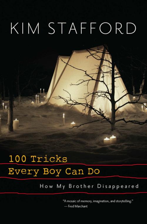 Cover of the book 100 Tricks Every Boy Can Do by Kim Stafford, Trinity University Press