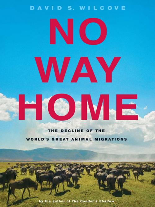Cover of the book No Way Home by David S. Wilcove, Island Press