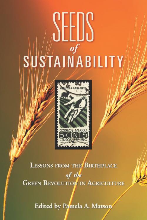 Cover of the book Seeds of Sustainability by Pamela A. Matson, Walter Falcon, Ashley Dean, David Lobell, Rosamond Naylor, Ivan Ortiz-Monasterio, Island Press
