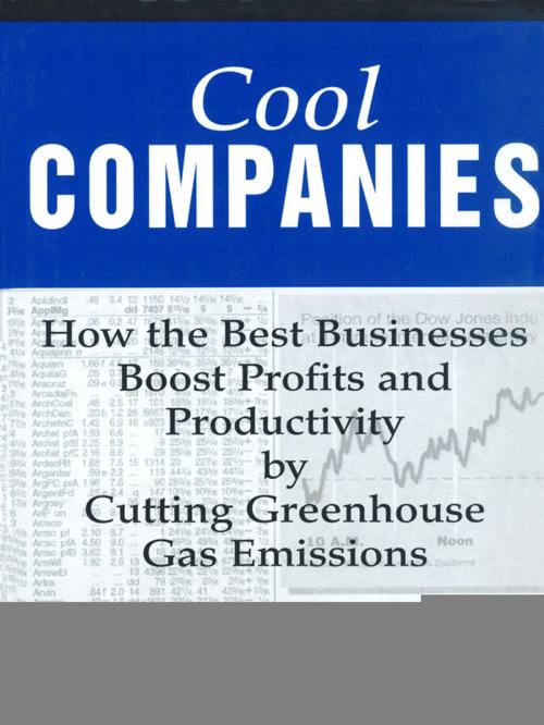 Cover of the book Cool Companies by Joseph J. Romm, Island Press
