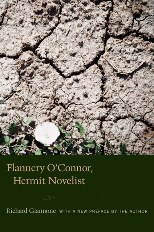 Cover of the book Flannery O'Connor, Hermit Novelist by Richard Giannone, University of South Carolina Press