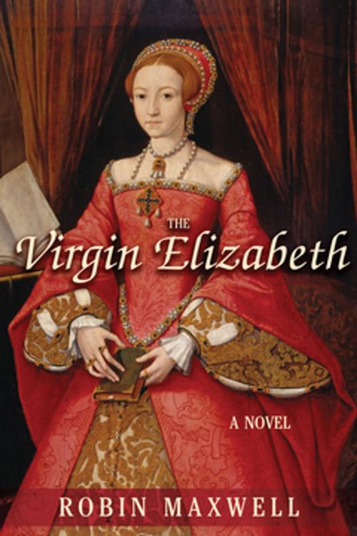 Cover of the book The Virgin Elizabeth by Robin Maxwell, Skyhorse Publishing