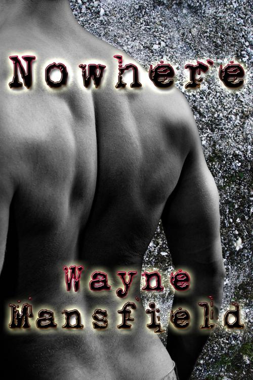 Cover of the book Nowhere by Wayne Mansfield, JMS Books LLC