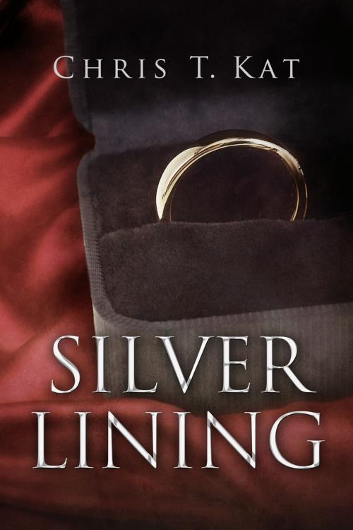 Cover of the book Silver Lining by Chris T. Kat, Dreamspinner Press
