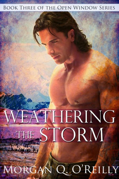 Cover of the book Weathering the Storm by Morgan Q O'Reilly, Lyrical Press