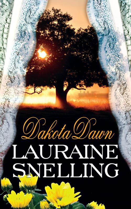 Cover of the book Dakota Dawn by Lauraine Snelling, Mission Books