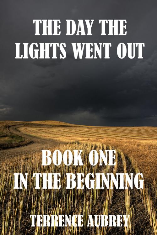 Cover of the book The Day The Lights Went Out: In The Beginning by Terrence Aubrey, Terrence Aubrey