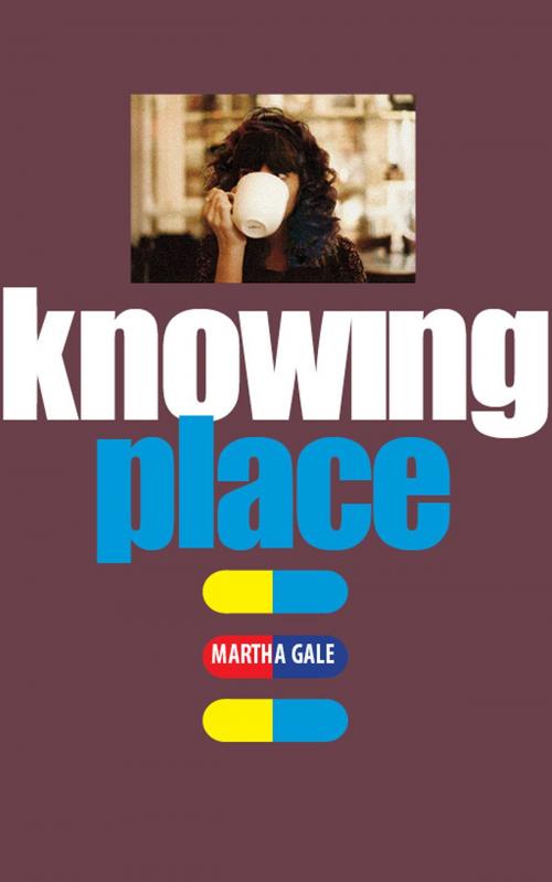 Cover of the book Knowing Place by Martha Gale, BookBaby