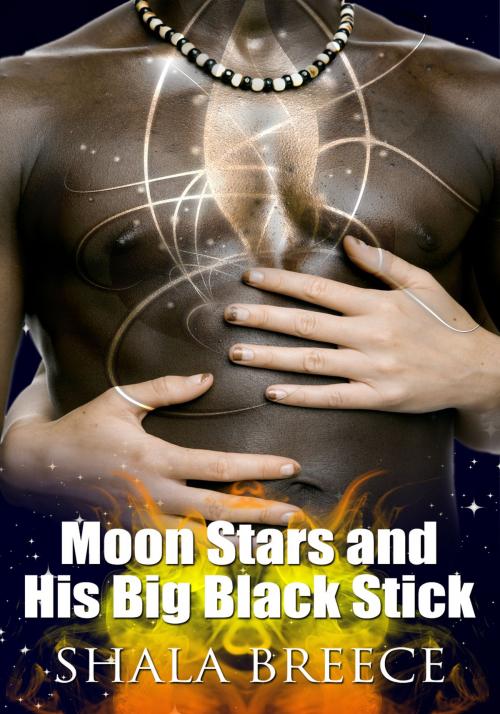 Cover of the book Moon Stars and His Big Black Stick by Shala Breece, Xplicit Press