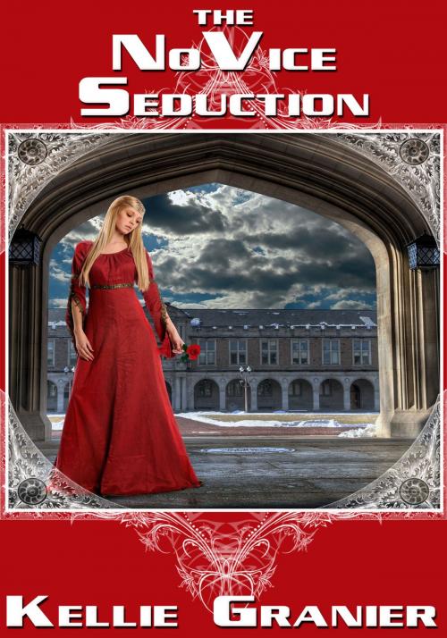 Cover of the book The Novice Seduction by Kellie Granier, Xplicit Press