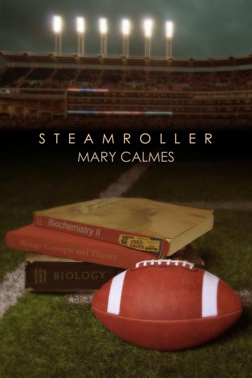 Cover of the book Steamroller by Mary Calmes, Dreamspinner Press