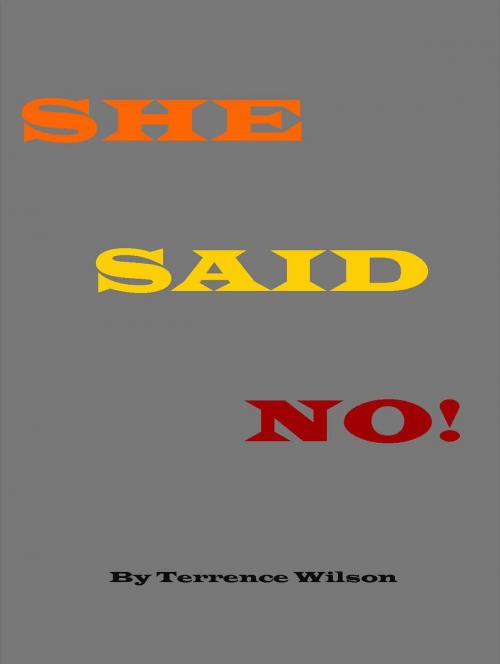 Cover of the book She Said No by Terrence Wilson, BookBaby