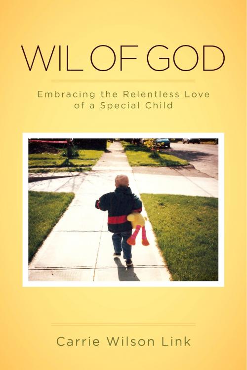 Cover of the book Wil of God by Carrie Wilson Link, BookBaby
