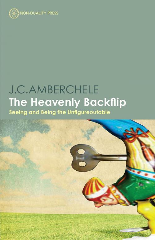 Cover of the book The Heavenly Backflip by J.C. Amberchele, New Harbinger Publications