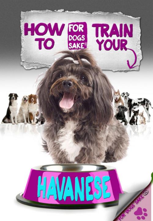 Cover of the book How to Train Your Havanese by Jenny Milbrook, For Dogs Sake®