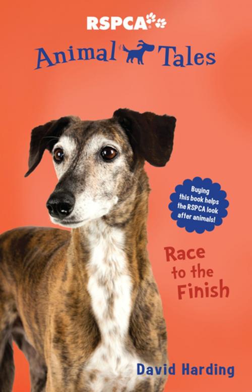 Cover of the book Animal Tales 8: Race to the Finish by David Harding, Penguin Random House Australia