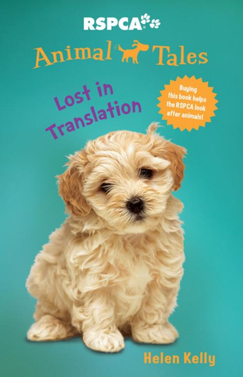 Cover of the book Animal Tales 7: Lost in Translation by Helen Kelly, Penguin Random House Australia