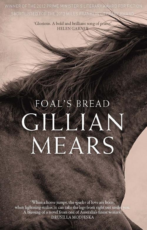 Cover of the book Foal's Bread by Gillian Mears, Allen & Unwin