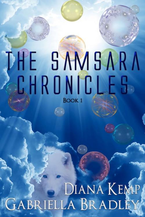 Cover of the book The Samsara Chronicles Book 1 by Diana Kemp, Gabriella Bradley, eXtasy Books Inc