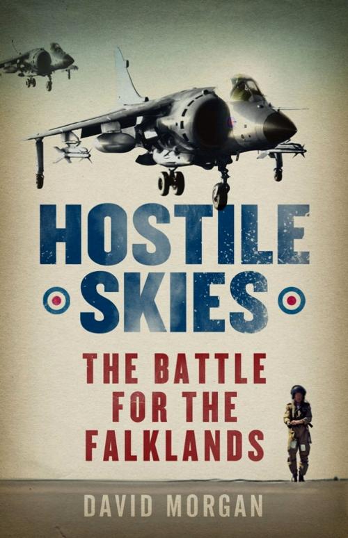 Cover of the book Hostile Skies by David Morgan, Orion Publishing Group