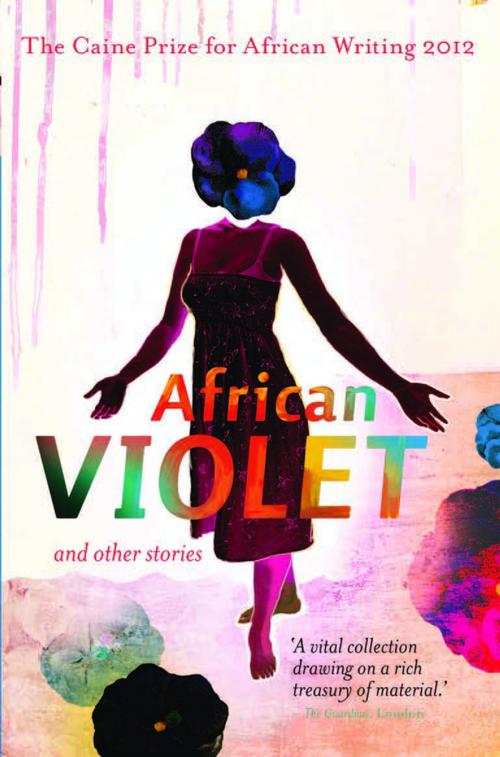 Cover of the book The Caine Prize for African Writing 2012 by , New Internationalist