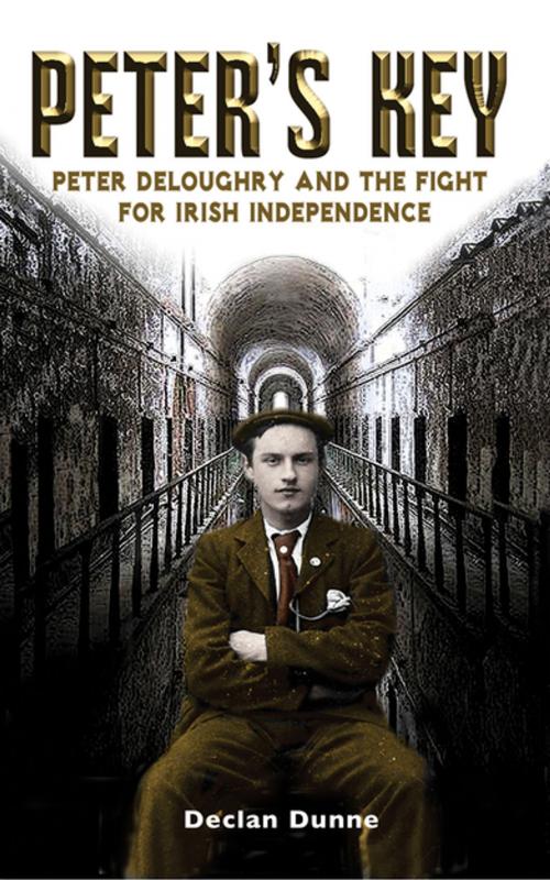 Cover of the book Peter's Key: Peter DeLoughry and the Fight for Irish Independence by Declan Dunne, Mercier Press