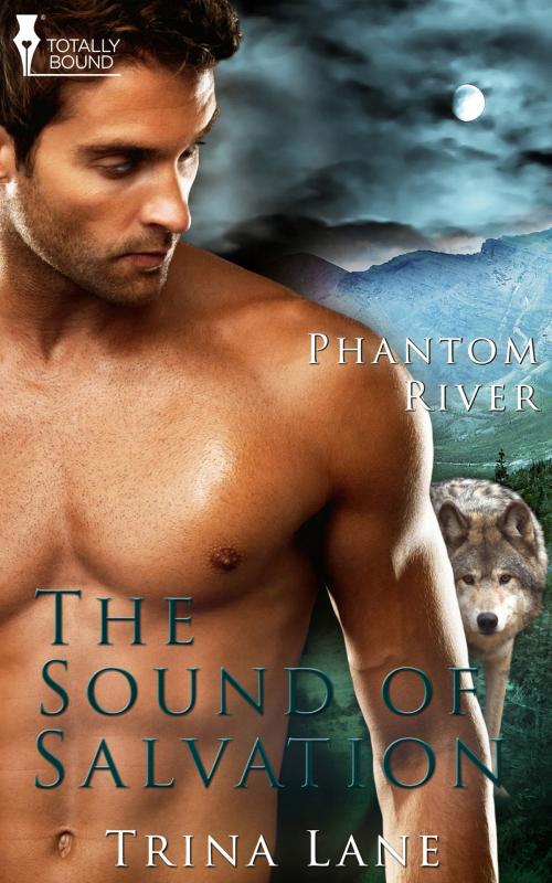 Cover of the book The Sound of Salvation by Trina Lane, Totally Entwined Group Ltd