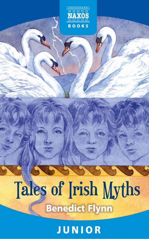 Cover of the book Tales of Irish Myths by Benedict Flynn, Naxos Books