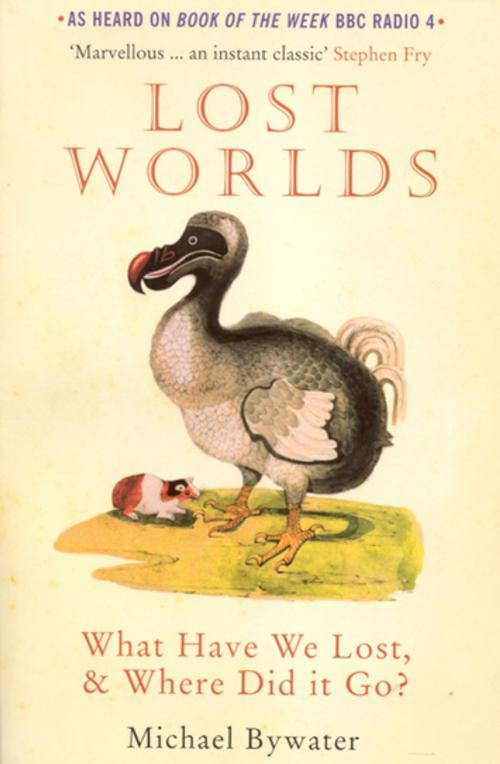 Cover of the book Lost Worlds by Michael Bywater, Granta Publications