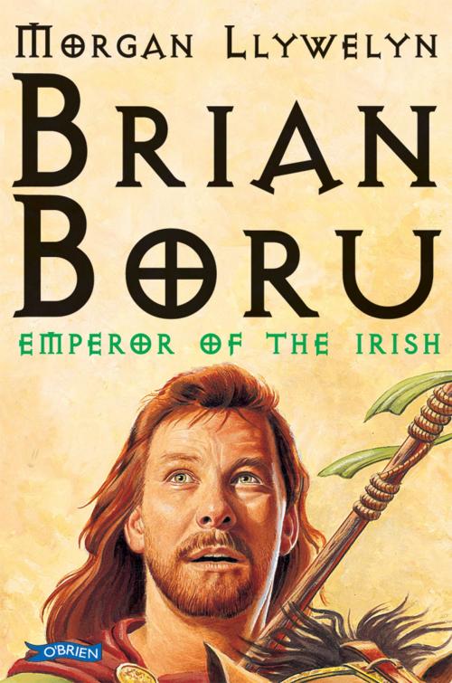 Cover of the book Brian Boru by Morgan Llywelyn, The O'Brien Press