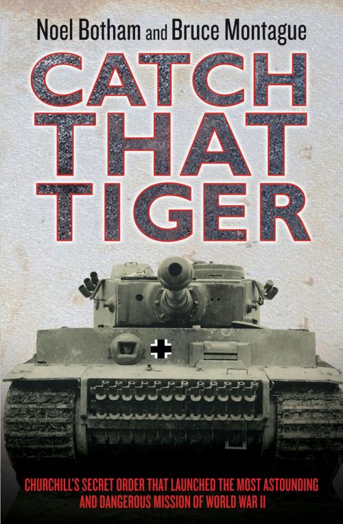 Cover of the book Catch That Tiger by Noel Botham, Bruce Montague, John Blake