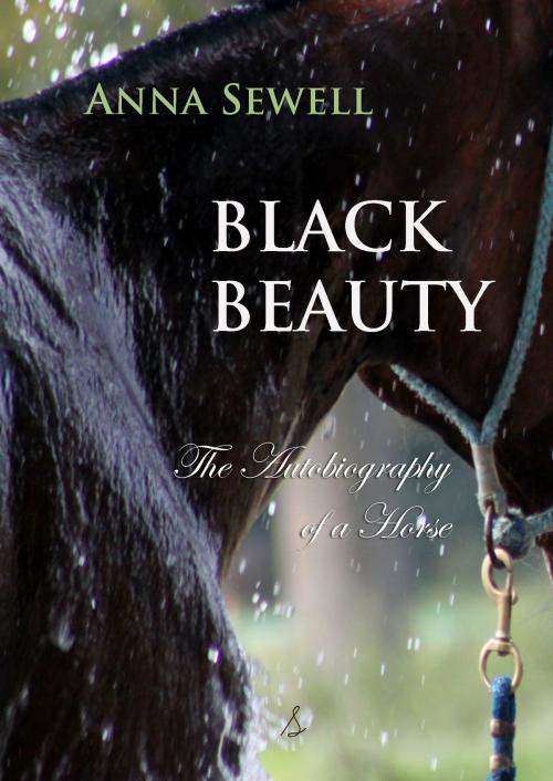 Cover of the book Black Beauty by Anna Sewell, Interactive Media