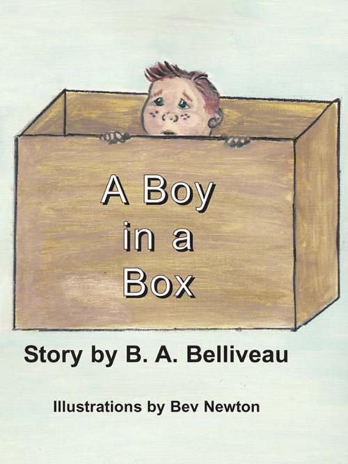 Cover of the book A Boy in A Box by B.A. Belliveau, Pine Lake Books