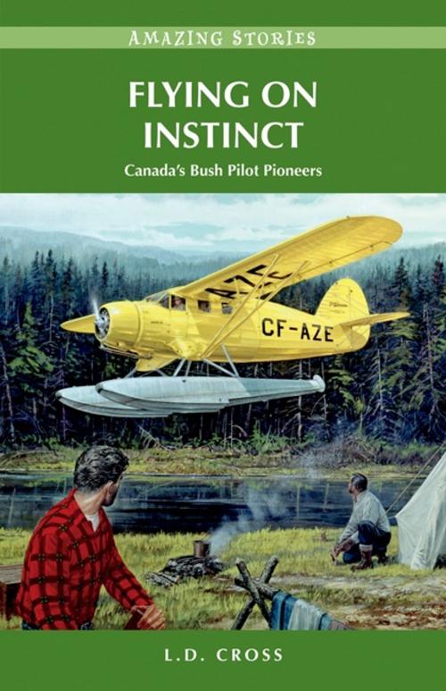 Cover of the book Flying on Instinct: Canada's Bush Pilot Pioneers by L.D. Cross, Heritage House