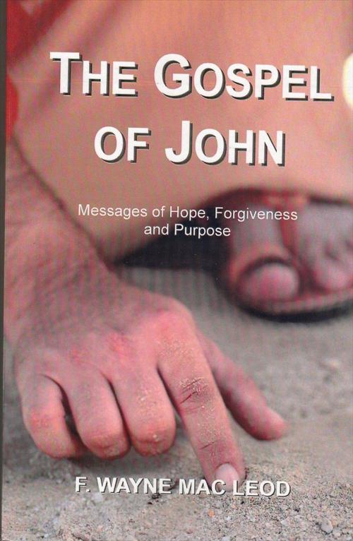 Cover of the book The Gospel of John by F. Wayne Mac Leod, Light To My Path Book Distribution