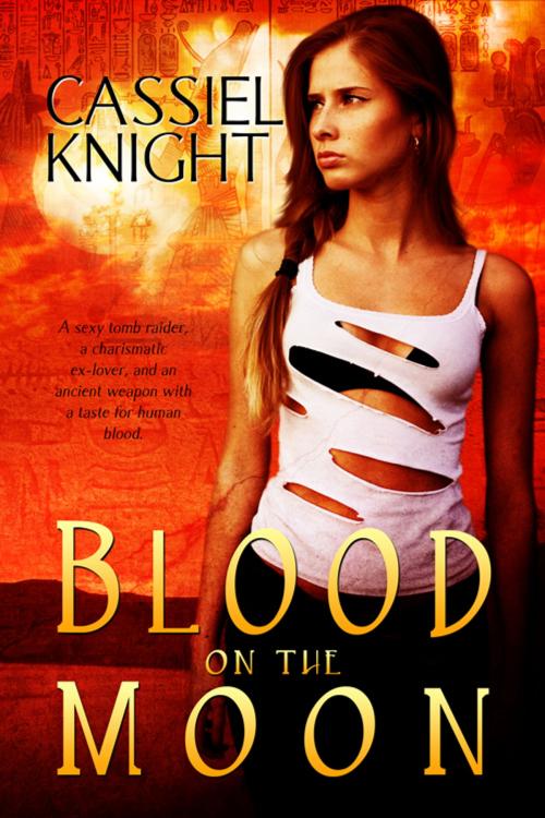Cover of the book Blood On The Moon by Cassiel Knight, Champagne Book Group