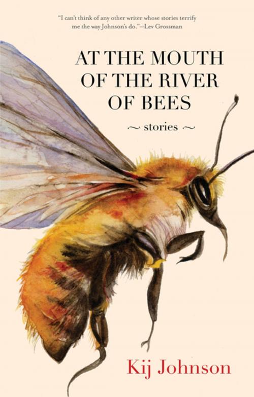 Cover of the book At the Mouth of the River of Bees by Kij Johnson, Small Beer Press