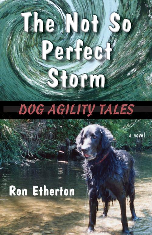 Cover of the book The Not So Perfect Storm by Ron Etherton, Imago Press