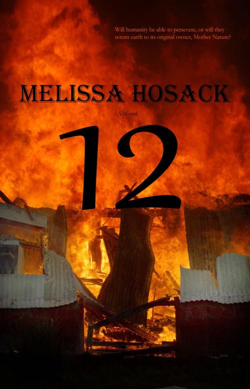 Cover of the book 12 by Melissa Hosack, Whimsical Publications