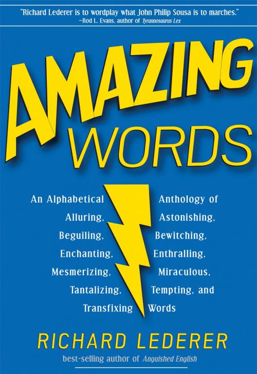 Cover of the book Amazing Words: An Alphabetical Anthology of Alluring, Astonishing, Beguiling, Bewitching, Enchanting, Enthralling, Mesmerizing, Miraculous, Tantalizing, Tempting, and Transfixing Words by Richard Lederer, Marion Street Press, LLC