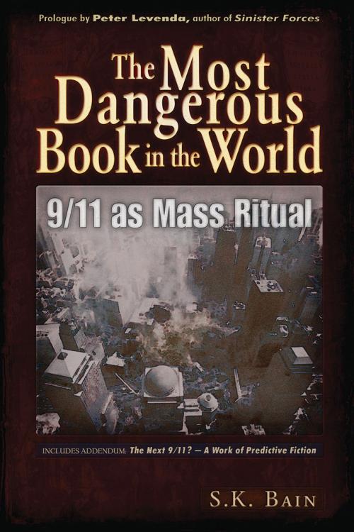 Cover of the book Most Dangerous Book in the World by S. K. Bain, Trine Day