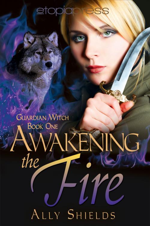 Cover of the book Awakening the Fire by Ally Shields, Etopia Press