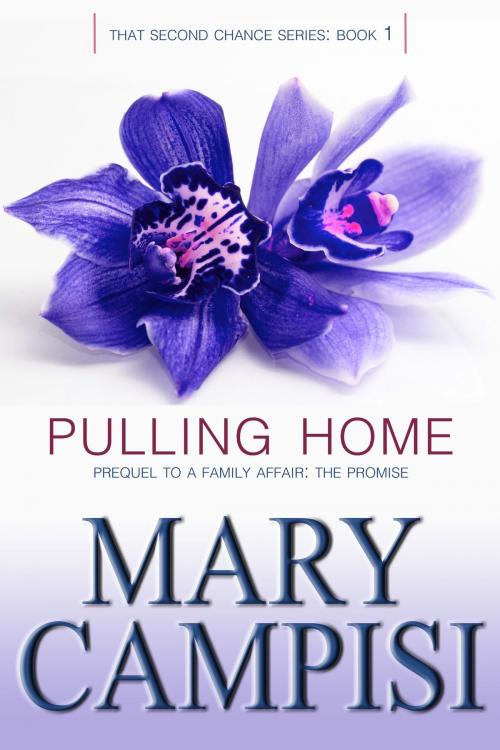 Cover of the book Pulling Home by Mary Campisi, Mary Campisi Books, LLC