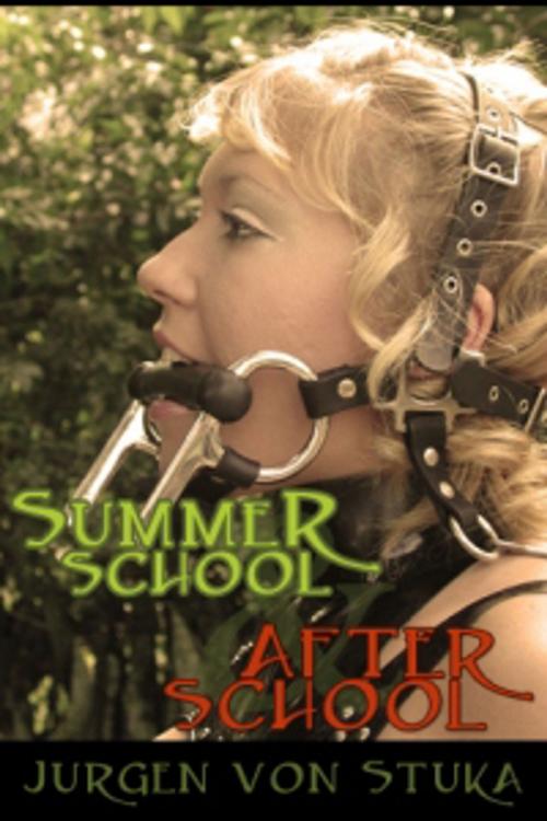 Cover of the book Summer School & After School by Jurgen von Stuka, Jurgen von Stuka, Pink Flamingo Media