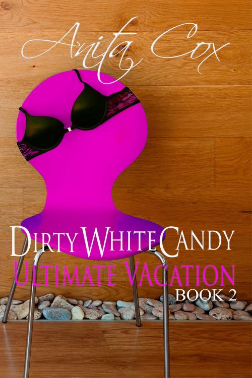 Cover of the book Ultimate Vacation by Anita Cox, Syn Publishing, LLC.