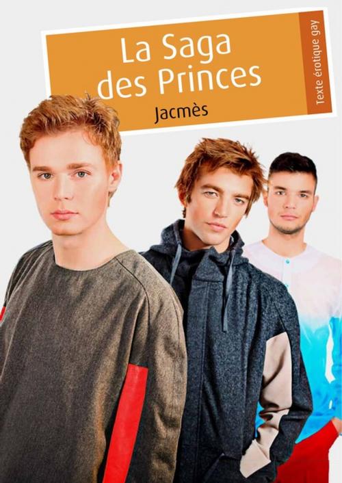 Cover of the book La Saga des Princes (pulp gay) by Jacmès, Éditions Textes Gais