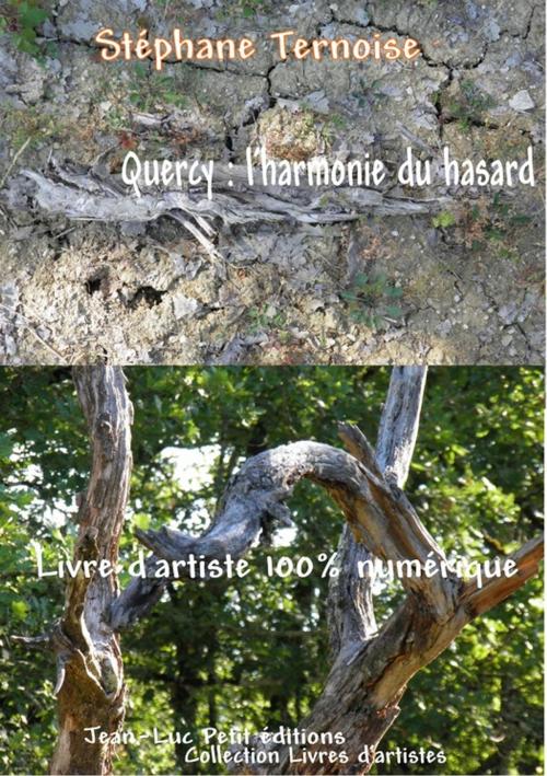 Cover of the book Quercy : l'harmonie du hasard by Stéphane Ternoise, Jean-Luc PETIT Editions