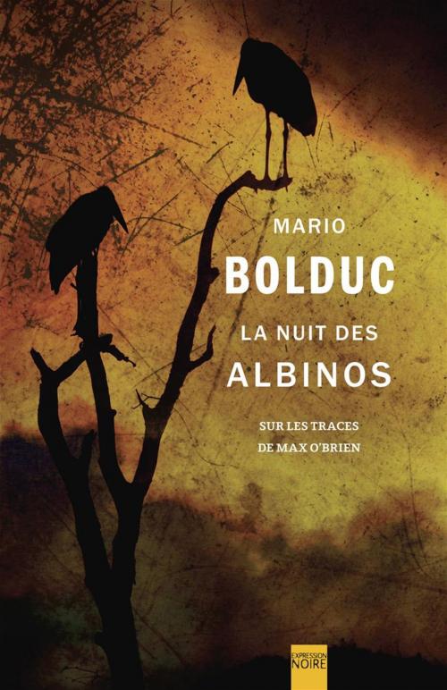 Cover of the book La Nuit des albinos by Mario Bolduc, Libre Expression