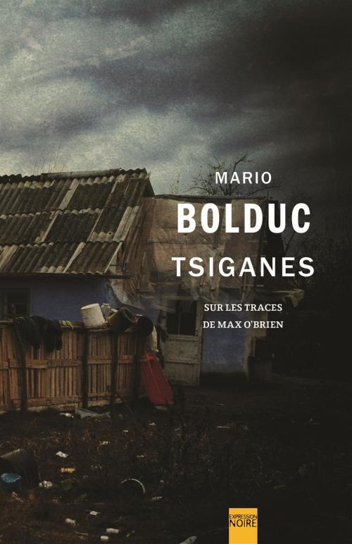 Cover of the book Tsiganes by Mario Bolduc, Libre Expression